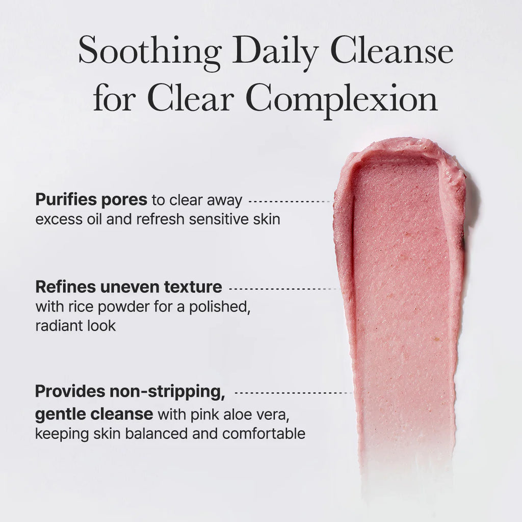 [ARENCIA] FRESH ROSEHIP RICE MOCHI CLEANSER - 120G