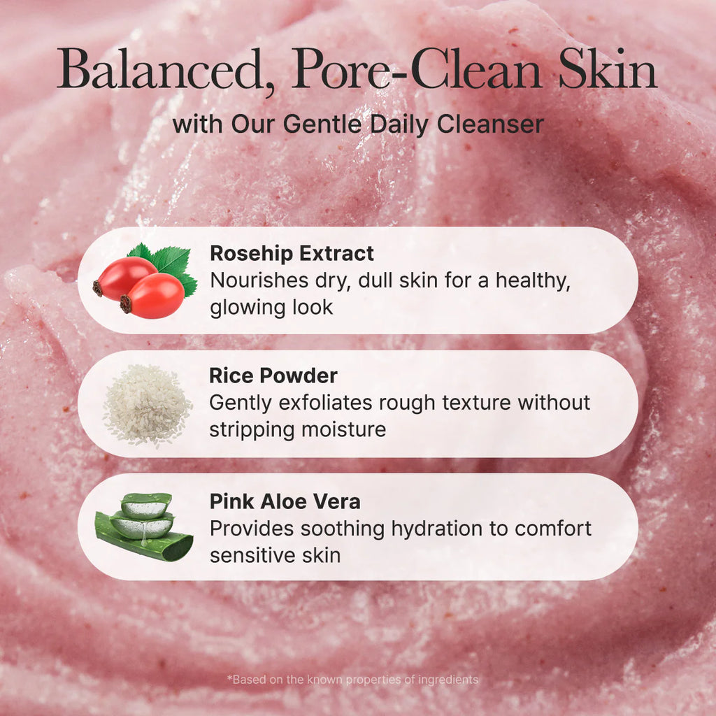 [ARENCIA] FRESH ROSEHIP RICE MOCHI CLEANSER - 120G