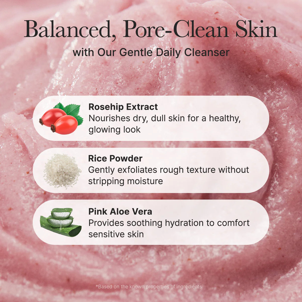 [ARENCIA] FRESH ROSEHIP RICE MOCHI CLEANSER - 120G